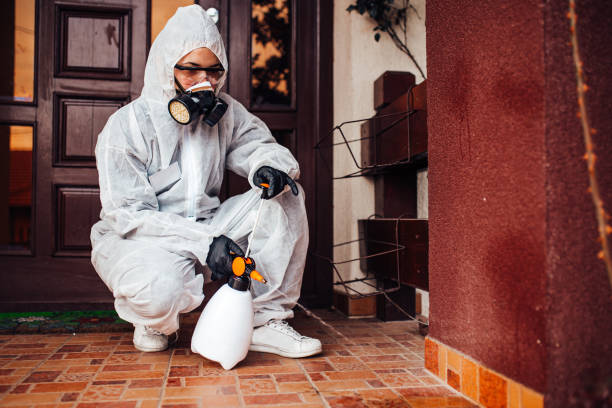 Reliable Bed Bug Control contractor in Strawberry Plains, TN by Nex Pest Control