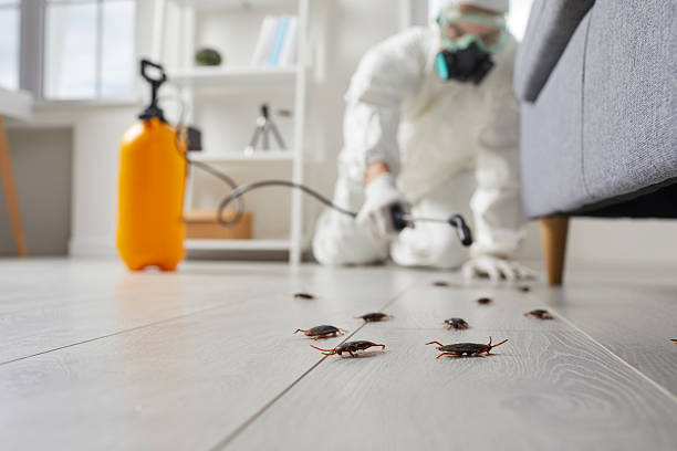 Trusted Fumigation Services service in Strawberry Plains, TN - Nex Pest Control
