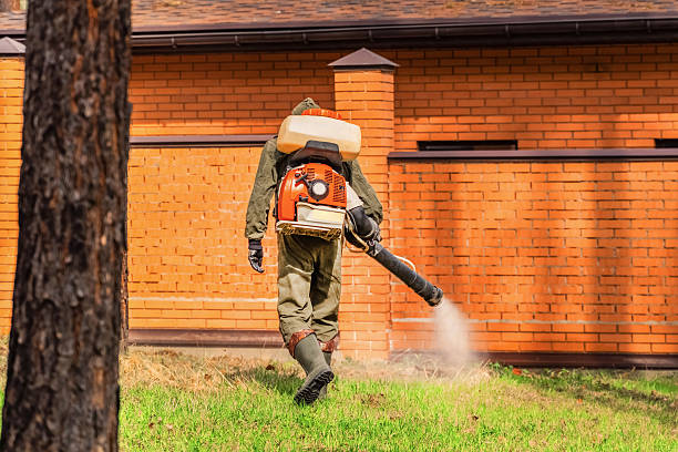 Trusted Termite Control service in Strawberry Plains, TN - Nex Pest Control